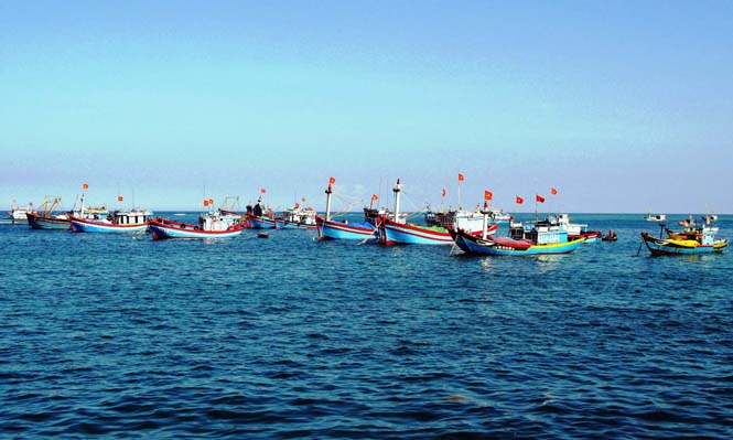 Ra khơi giữa ngày xuân