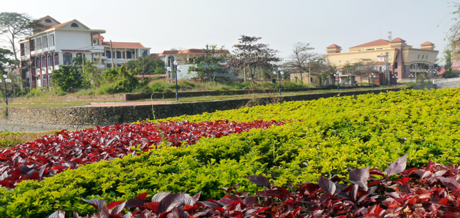Bông hoa đẹp