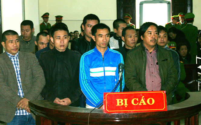 Cam go "cuộc chiến" bảo vệ rừng ở Phong Nha-Kẻ Bàng
