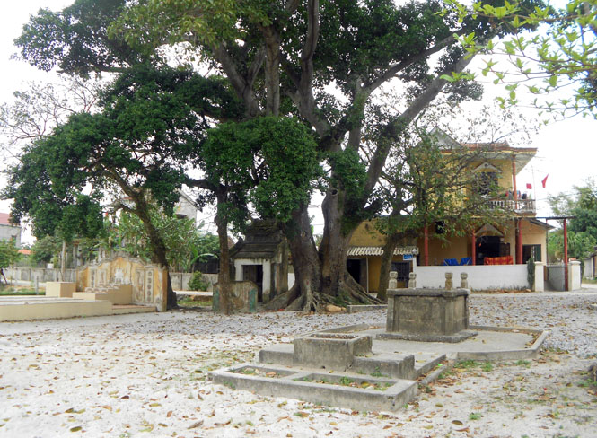 Giếng cổ Quảng Phương