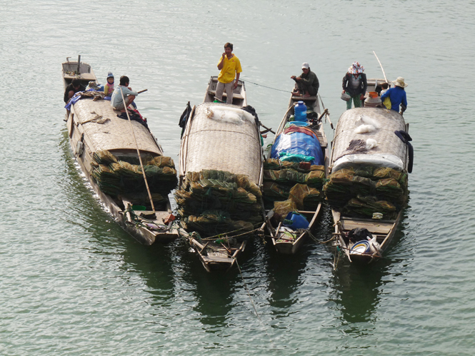 Biển nhớ