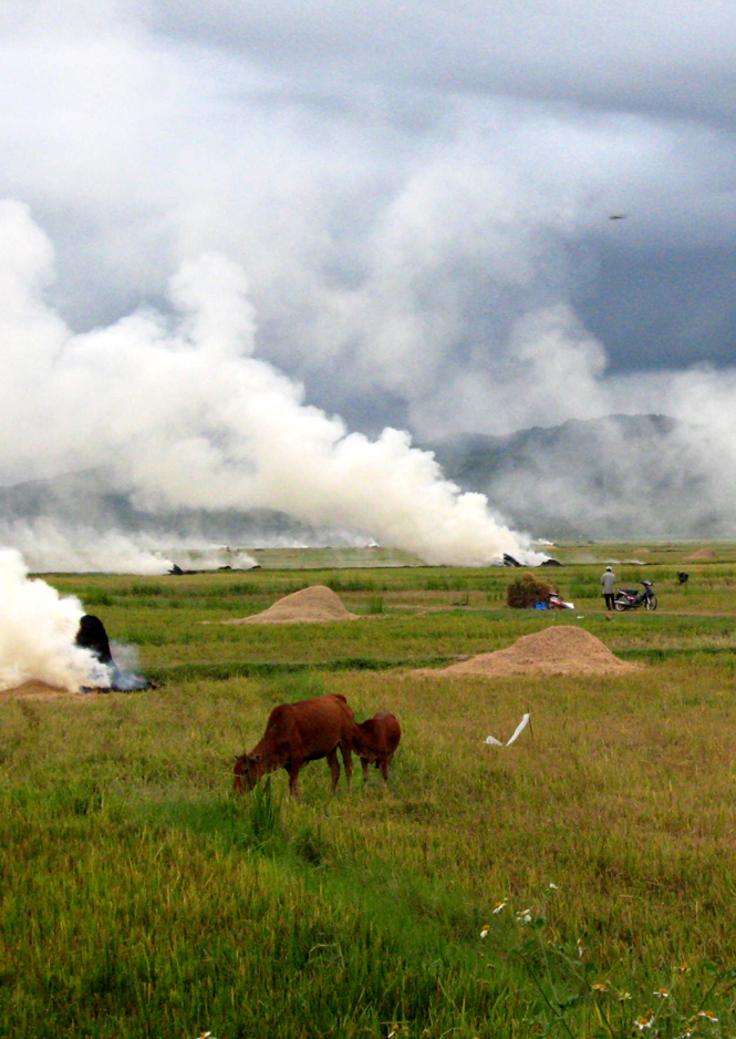 Đồng quê