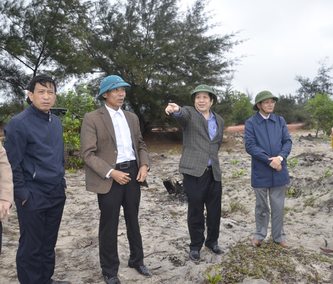 UBND tỉnh kiểm tra tình hình phục hồi môi trường các dự án khai thác ti tan