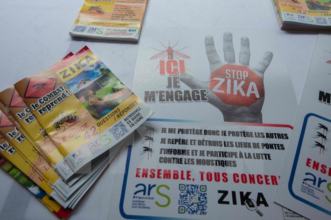 Chile xác nhận trường hợp đầu tiên nhiễm Zika qua đường tình dục