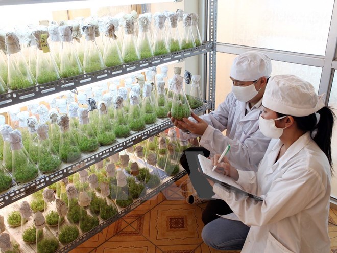 Cuộc thi về sáng kiến công nghệ mới nhằm tăng cường an ninh lương thực