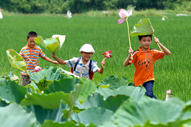 Học trò quê