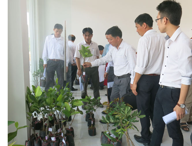 Ra mắt trang thông tin điện tử hỗ trợ nông dân tỉnh và giới thiệu Phòng giao dịch nông sản Quảng Bình