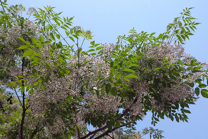 Ký ức tháng ba