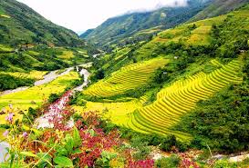 Bài ca con số