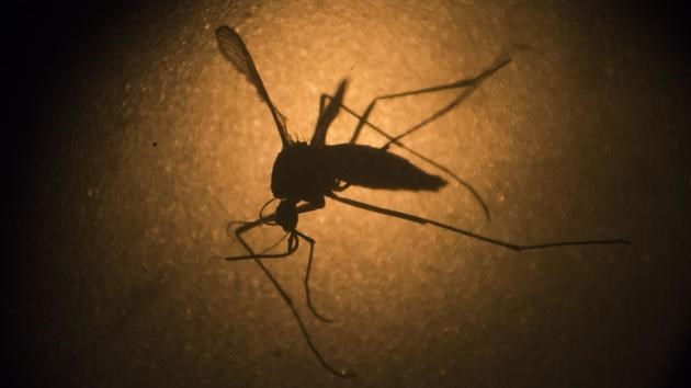 Công bố hướng dẫn mới về cách bảo hộ phòng chống virus Zika