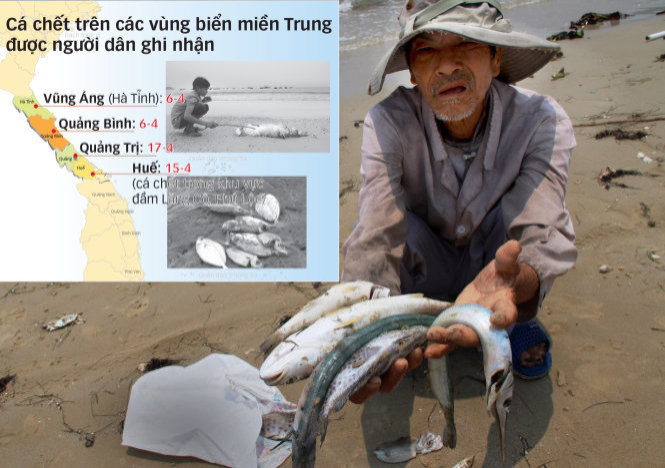 Thủ tướng chỉ đạo khẩn trương làm rõ nguyên nhân cá chết bất thường