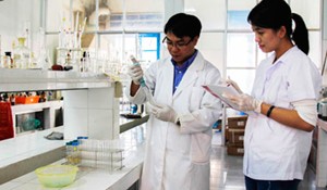 93% số tiến sĩ làm việc trong cơ quan Nhà nước