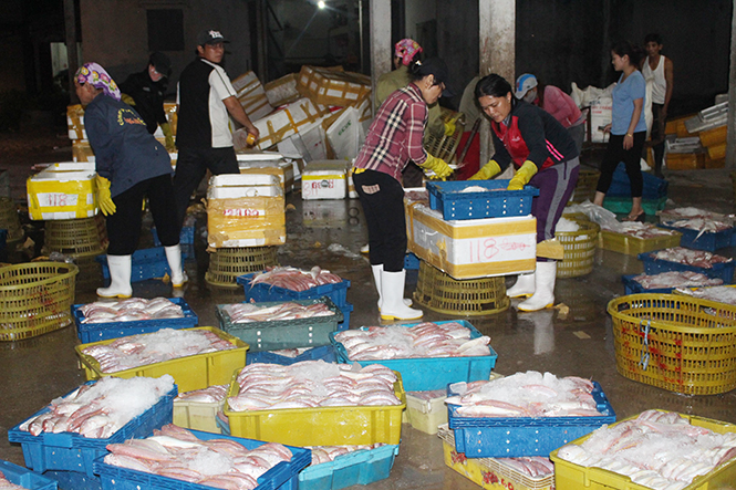Tích cực hỗ trợ ngư dân
