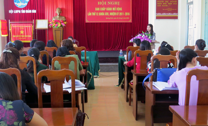 Hội LHPN tỉnh tổ chức hội nghị Ban Chấp hành mở rộng lần thứ 12, nhiệm kỳ 2011-2016