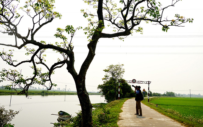 Về làng