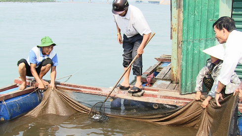 Chính phủ công bố chi tiết thiệt hại do Formosa gây ra