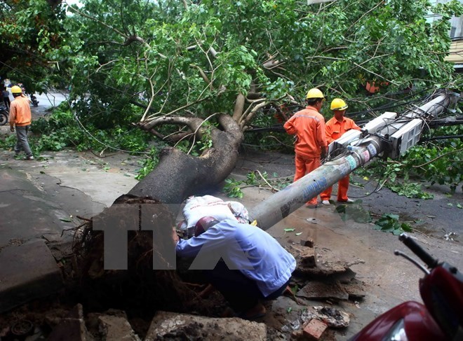 Tháng 8 có 1-2 cơn bão và áp thấp ảnh hưởng đến đất liền