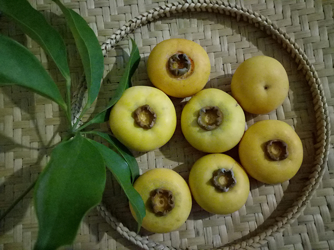 Hương xưa