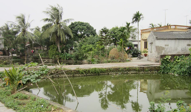 Nhớ về Võ Xá