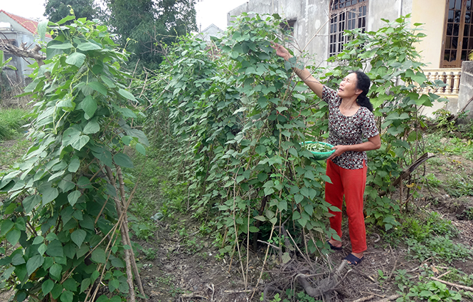Mặt trận phường Đồng Sơn: Tích cực triển khai cuộc vận động "Toàn dân đoàn kết xây dựng nông thôn mới, đô thị văn minh"