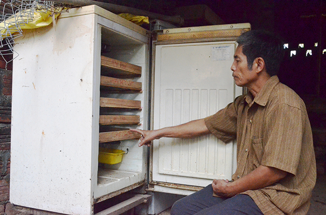 Lão nông với lò ấp trứng tự chế
