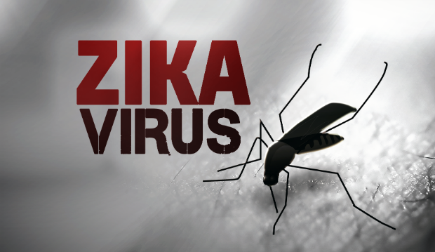 Virus Zika hoành hành ở Singapore, Bộ Y tế họp bàn ứng phó