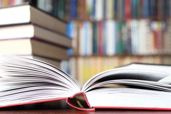 Người dân Mỹ vẫn yêu thích các loại sách in hơn sách điện tử