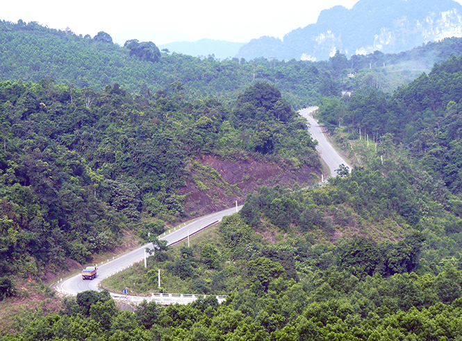 Chùm thơ về Bác Hồ