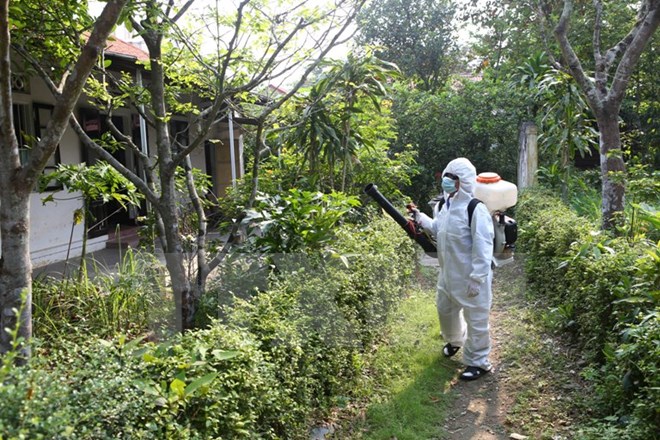 Điều tra, xác minh ổ dịch virus Zika tại tỉnh Trà Vinh