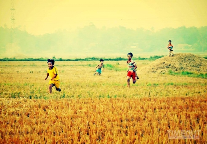 Tiếng mùa