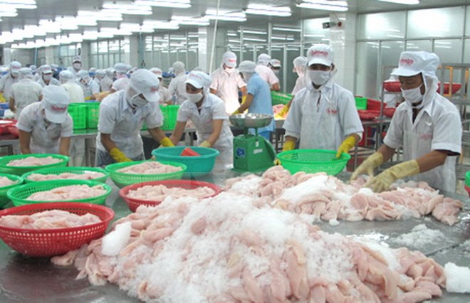 Truy xuất nguồn gốc thủy sản để không bị phạt hàng triệu USD