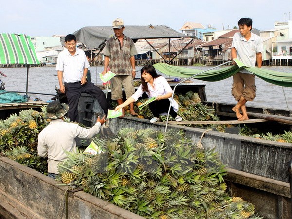 Bình Dương: Khoanh vùng nơi phát hiện bệnh nhân Zika đầu tiên