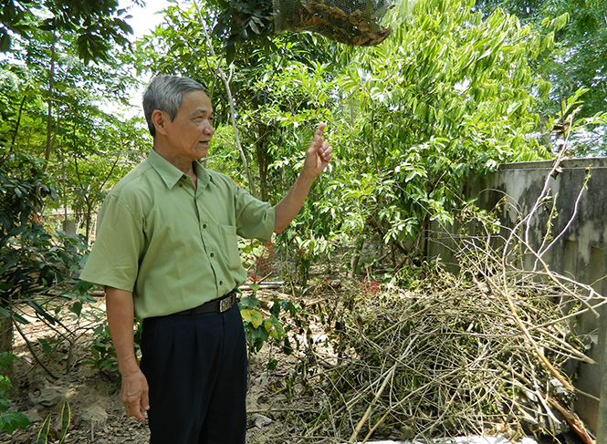 Tuổi cao gương sáng