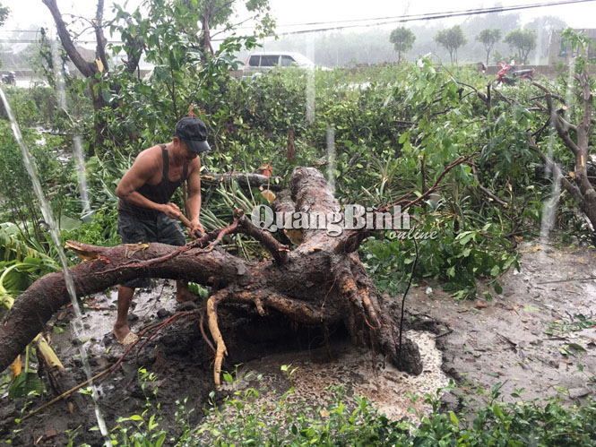 Lốc xoáy gây thiệt hại ở xã Sen Thủy và Lộc Thủy
