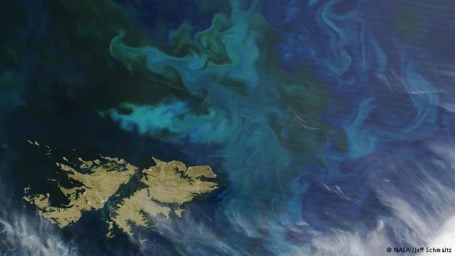 UNASUR phản đối quân đội Anh tập trận tại Malvinas/Falklands