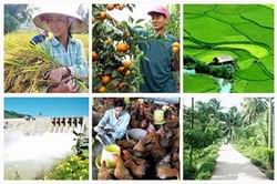 19 tiêu chí quốc gia về xã nông thôn mới giai đoạn 2016-2020