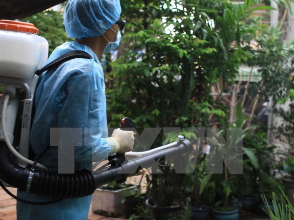 Thành phố Hồ Chí Minh họp khẩn về diễn biến dịch Zika trên địa bàn