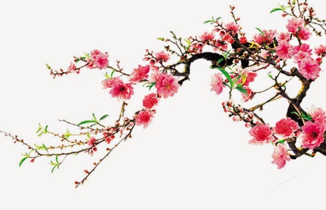 Mời gửi bài, ảnh cho Báo Quảng Bình số Tết Đinh Dậu 2017