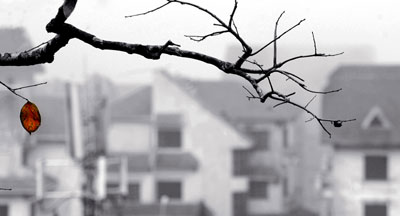 Đã nghe rét mướt