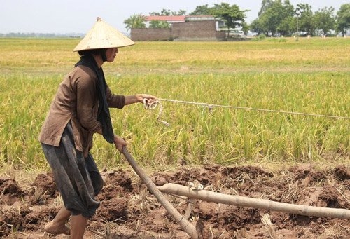 Mẹ tôi