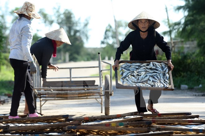 Phó Thủ tướng chỉ đạo xử lý hải sản tồn kho sau sự cố môi trường biển