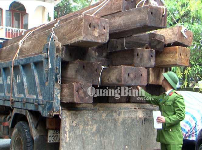 Bắt giữ xe ô tô tải vận chuyển gỗ trái phép