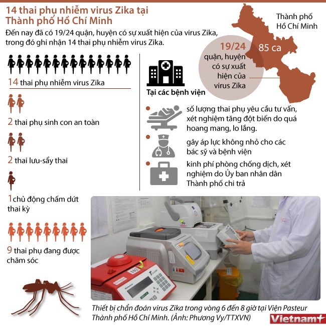 [Infographics] 14 thai phụ nhiễm virus Zika tại thành phố Hồ Chí Minh