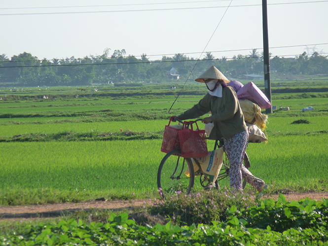 Mẹ đồng quê
