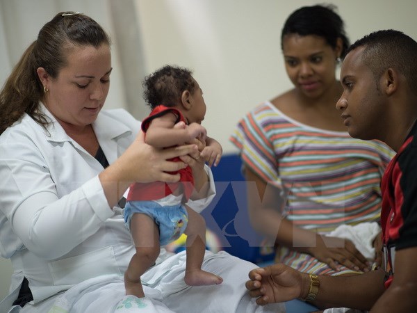 Virus Zika có thể sinh sôi trong não của các thai nhi và nhau thai