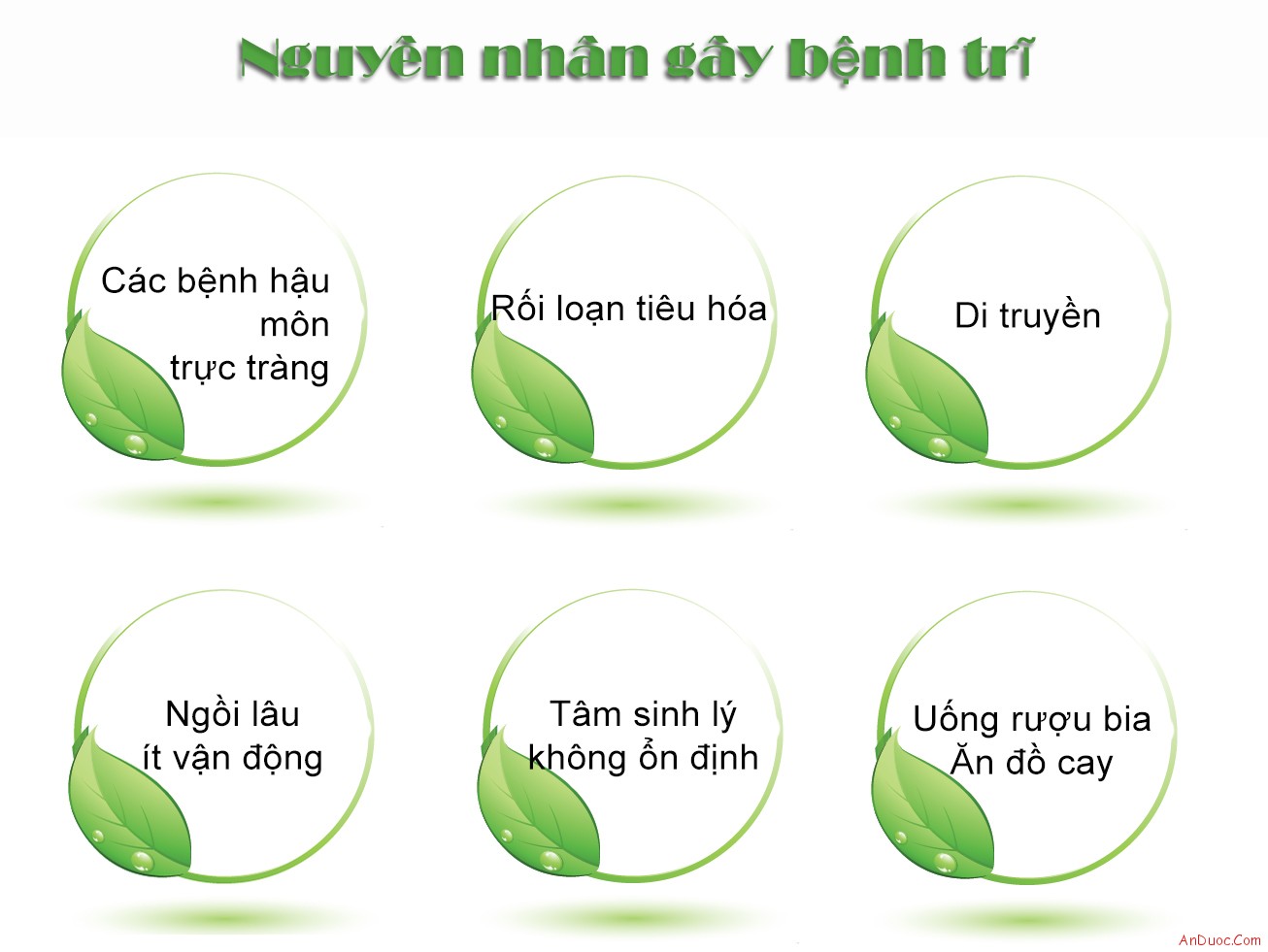 Điều trị bệnh trĩ bằng y học cổ truyền