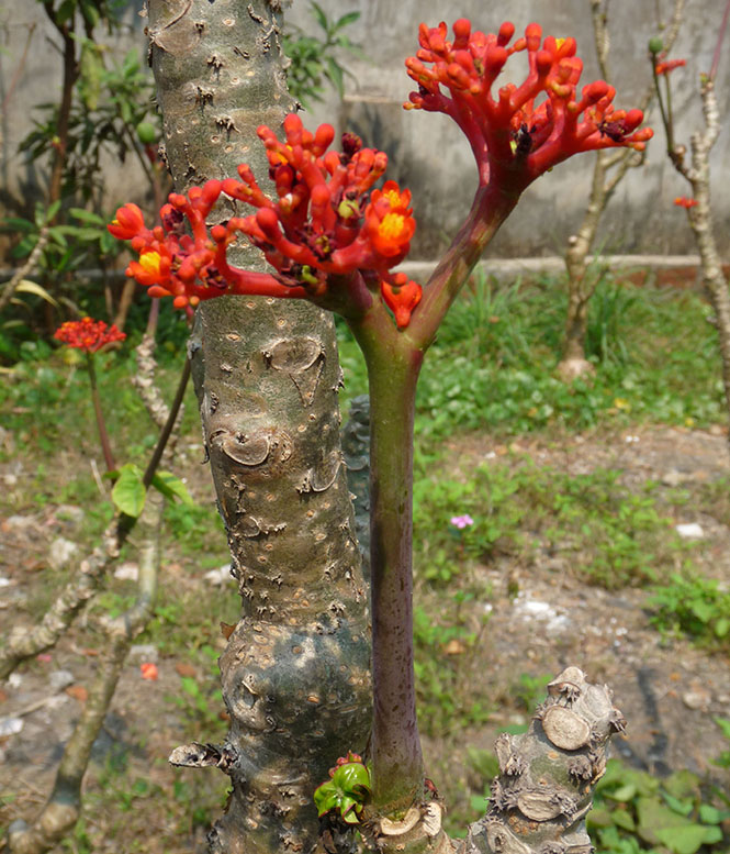 Đoản khúc ngày cuối năm