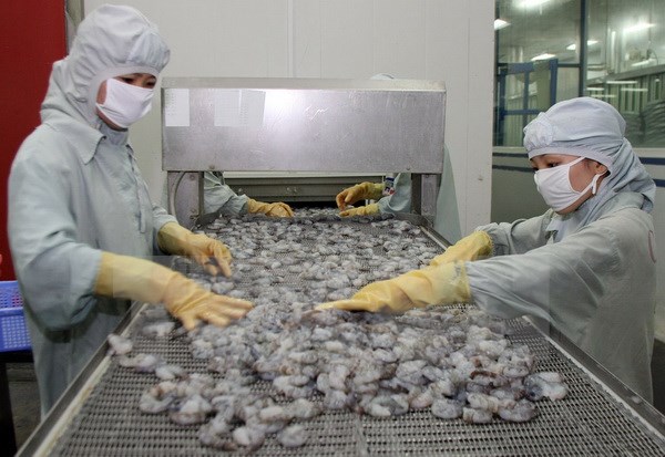 Con tôm có thể mang về 10 tỷ USD mỗi năm cho Việt Nam