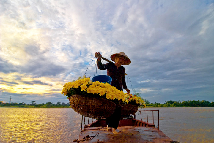 Bóng mẹ chiều xuân