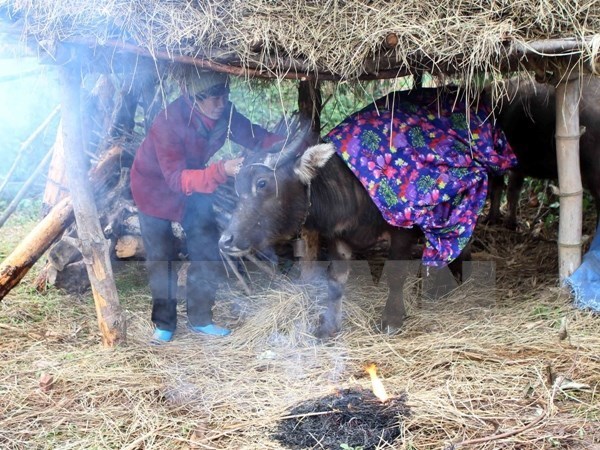 Không khí lạnh gây mưa từ Nghệ An đến Quảng Ngãi